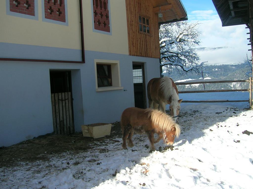 Ferienwohnung Kollerhof Schlanitzen Exterior foto